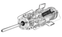 Valved GaP Compound Source VGCS